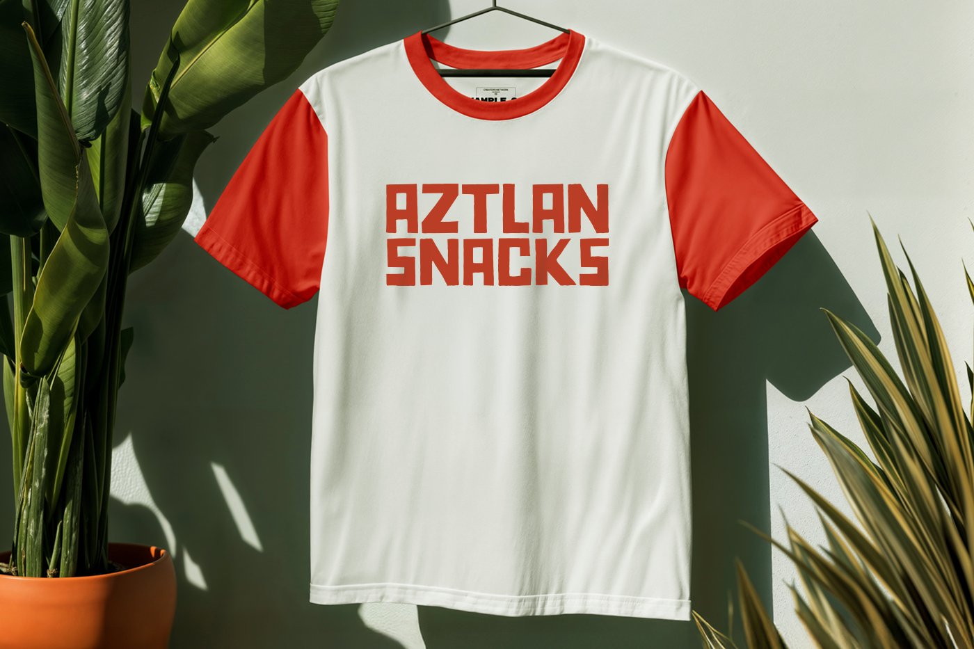 Aztlan Snacks