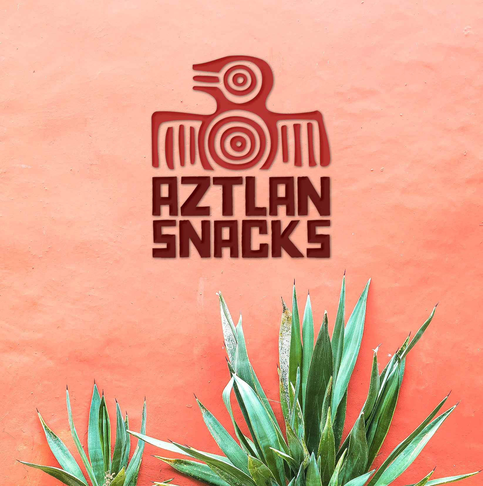 Aztlan Snacks