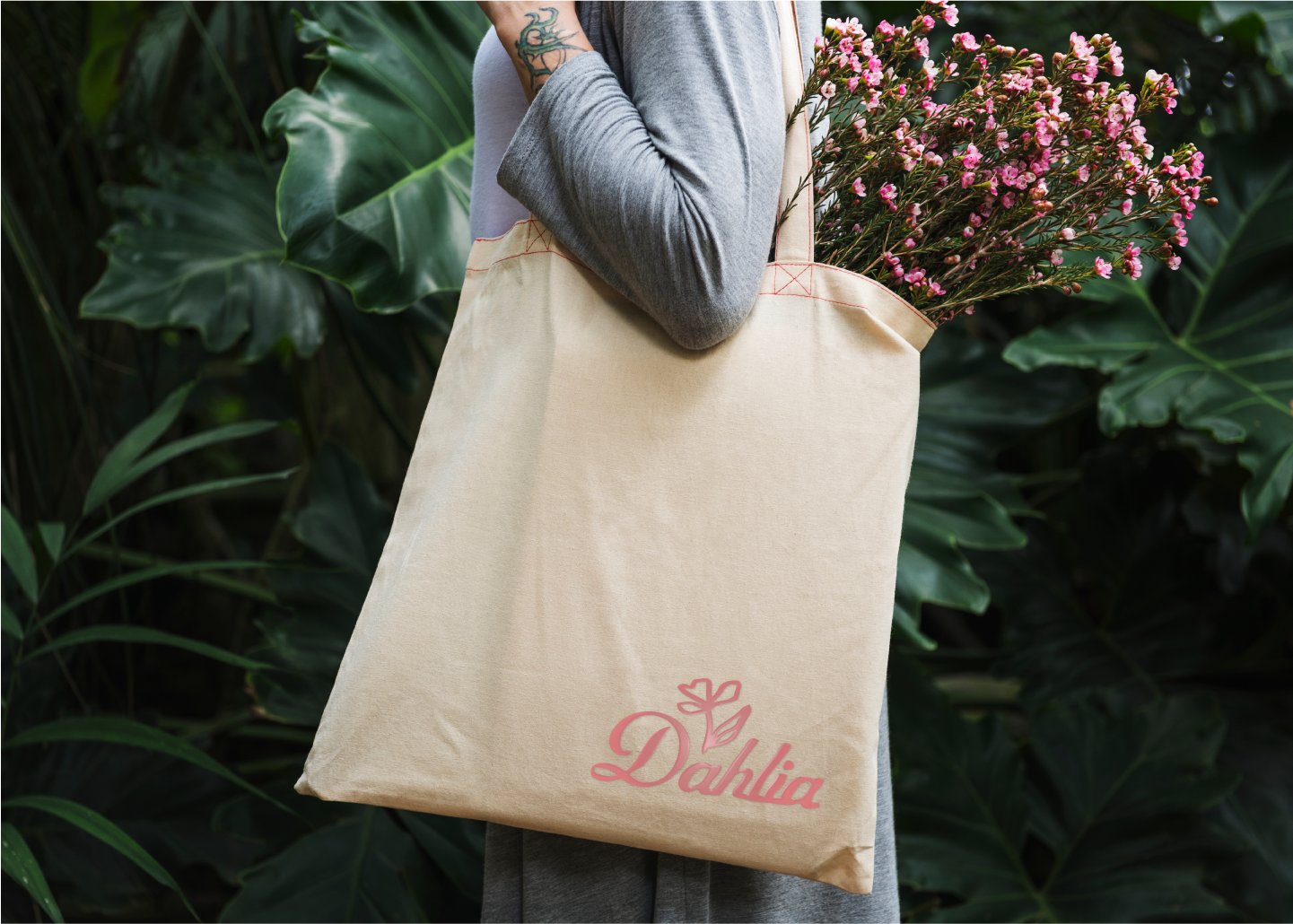 Dahlia Plant Nursery