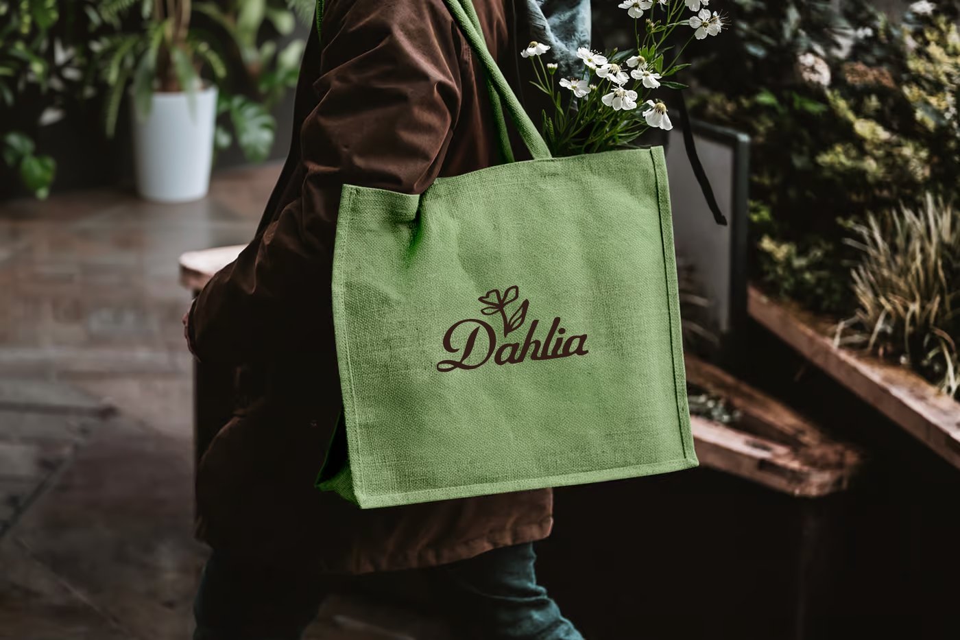 Dahlia Plant Nursery